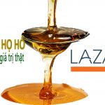 Mật Ong Họ Hồ Nhãn Hiệu Được Bán Chạy Nhất tại LAZADA Với Điểm Hài Lòng Tuyệt Đối Từ Khách Hàng